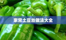 家常土豆丝做法大全