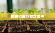 蒜苔炒肉丝家常做法