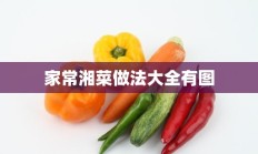 家常湘菜做法大全有图