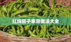 红绕茄子家常做法大全