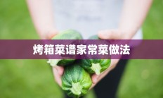 烤箱菜谱家常菜做法