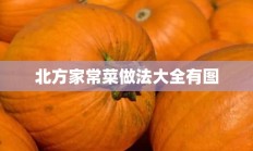 北方家常菜做法大全有图