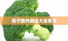 茄子酿肉做法大全家常