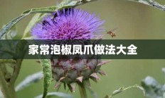 家常泡椒凤爪做法大全