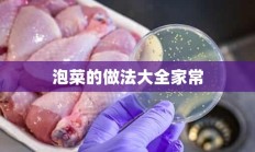 泡菜的做法大全家常