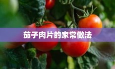 茄子肉片的家常做法