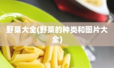 野菜大全(野菜的种类和图片大全)