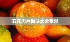 五花肉片做法大全家常