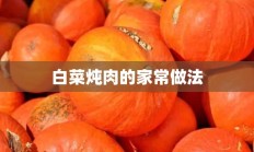 白菜炖肉的家常做法