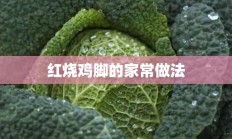 红烧鸡脚的家常做法