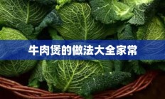 牛肉煲的做法大全家常