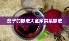 茄子的做法大全家常菜做法