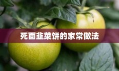 死面韭菜饼的家常做法