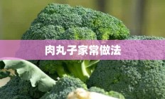 肉丸子家常做法