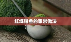 红烧钳鱼的家常做法