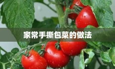 家常手撕包菜的做法