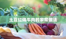 土豆红烧牛肉的家常做法