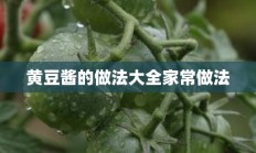 黄豆酱的做法大全家常做法