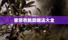 家常杏鲍菇做法大全