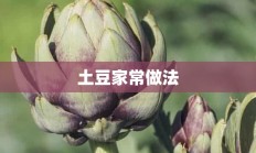 土豆家常做法