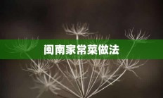 闽南家常菜做法