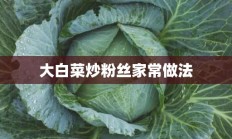 大白菜炒粉丝家常做法