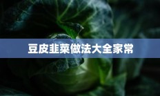 豆皮韭菜做法大全家常