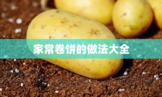 家常卷饼的做法大全