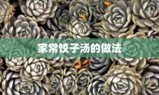 家常饺子汤的做法