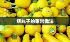 烧丸子的家常做法