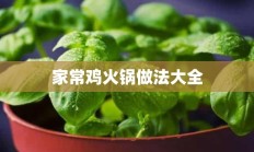 家常鸡火锅做法大全