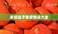 素茄盒子家常做法大全