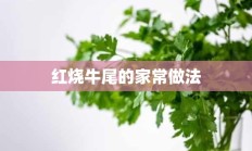 红烧牛尾的家常做法