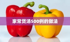 家常煲汤500例的做法