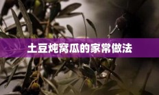 土豆炖窝瓜的家常做法