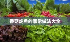 香菇炖鱼的家常做法大全