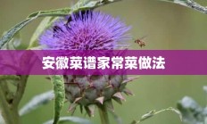 安徽菜谱家常菜做法