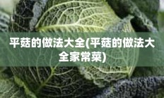 平菇的做法大全(平菇的做法大全家常菜)