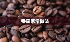 番茄家常做法