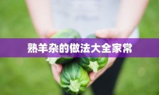 熟羊杂的做法大全家常