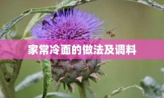 家常冷面的做法及调料