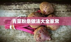 青菜粉条做法大全家常