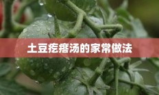 土豆疙瘩汤的家常做法