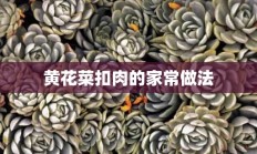 黄花菜扣肉的家常做法