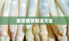 家常便饭做法大全