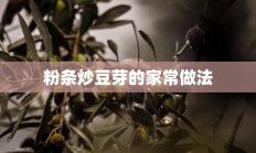 粉条炒豆芽的家常做法