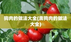 狗肉的做法大全(熏狗肉的做法大全)