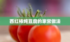 西红柿炖豆腐的家常做法