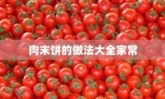 肉末饼的做法大全家常