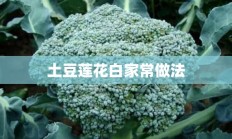 土豆莲花白家常做法